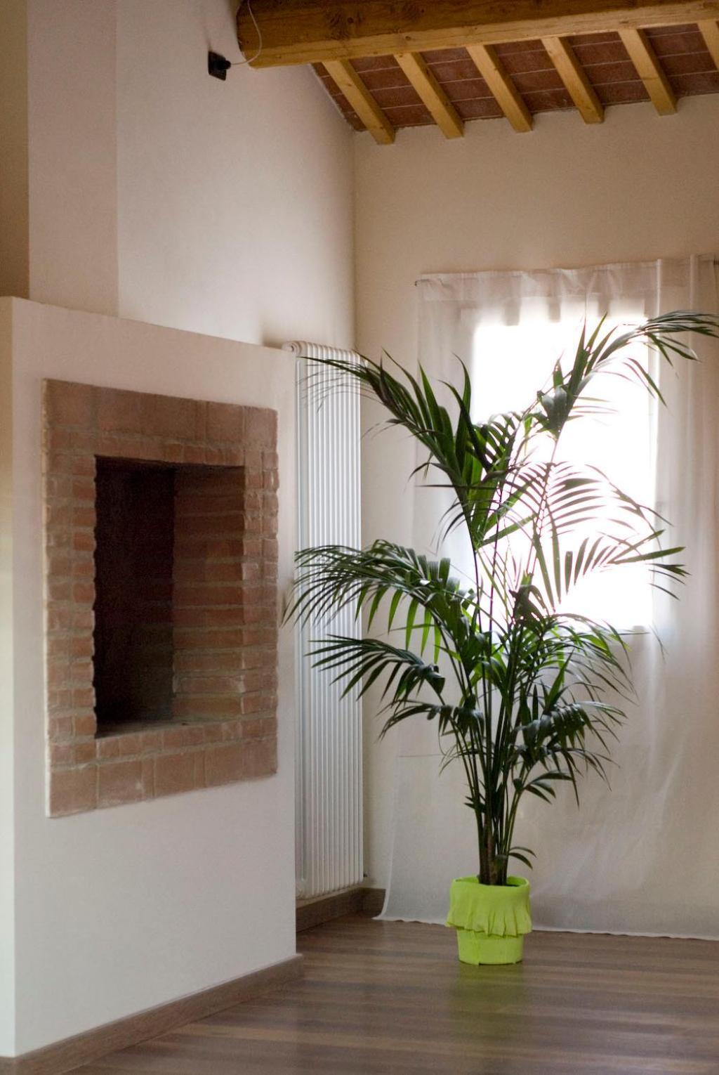 B&B Cittabella Cittadella Exteriör bild